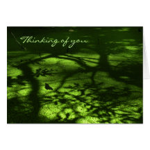 Dappled Butterfly Pond Condolence Card