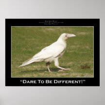 "DARE TO BE DIFFERENT" Photo Prints & Posters