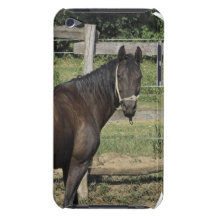 Dark Bay Horse  iTouch Case iPod Touch Cover