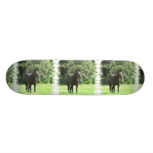 Dark Bay Horse Skateboard