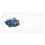 Dark Blue Hydrangea Lace Cap Photo Card