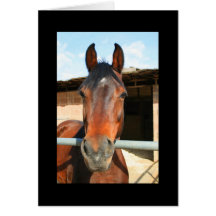 Dark Brown Horse Greeting Card and Note Card