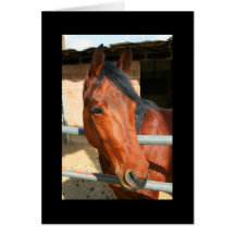 Dark Brown Horse Greeting Card and Note Card