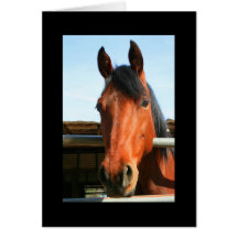 Dark Brown Horse Greeting Card and Note Card