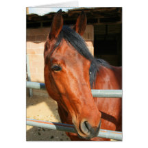 Dark Brown Horse Greeting Card,Note Card
