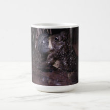 Dark Canyon Utah Aquatic Animals / Plants Frog Mug