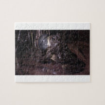 Dark Canyon Utah Aquatic Animals / Plants Frog Puzzle