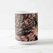 Dark Canyon Utah Insects / Arachnids Mugs
