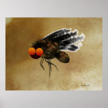 Dark Fly Print