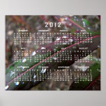 Dark Green Fireweed Leaf with Water Droplets Poster