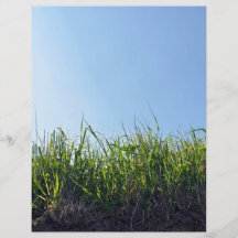 Dark green Grass on dry soil Full Color Flyer