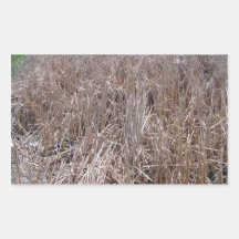 Dark Green Hedges Rectangular Sticker