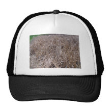 Dark Green Hedges Trucker Hat