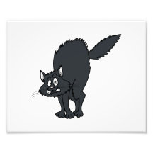 Dark grey scaredy cat photo art