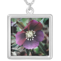 Dark Hellebore Silver Necklace