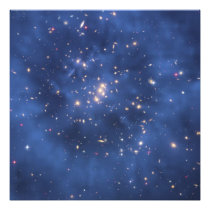 Dark Matter Ring in a Galaxy Cluster