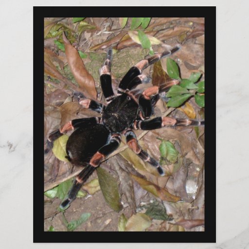 dark orchid custom flyer