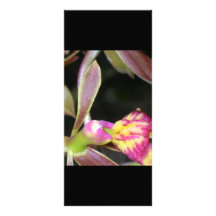 dark orchid custom rack card