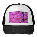Dark Pink Chrysanthemums flowers Hat