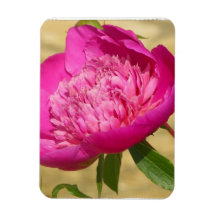 Dark Pink Peony Rectangular Magnet