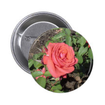 Dark Pink Rose