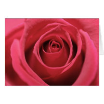 Dark Pink Rose 01 Greeting Cards