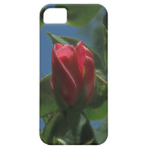 Dark Pink Rose iPhone 5 Case