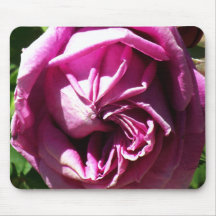 Dark Pink Rose Mouse Pad