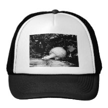 dark protector hats