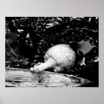 dark protector print