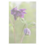 Dark Purple Columbine Personalized Stationery