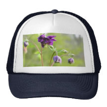 Dark Purple Columbine Trucker Hat
