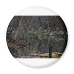 Dark Reflections Magnets