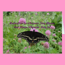 Dark Swallowtail Feeding On Clover cards