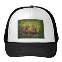 Dark Willows Mesh Hat