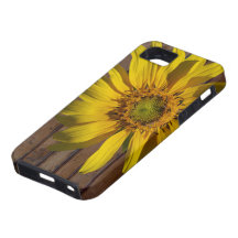 Dark Wood Yellow Sunflower Country iPhone 5 Cover