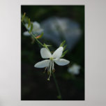 Darkness Has Gone Print
