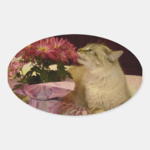 darling cat stickers