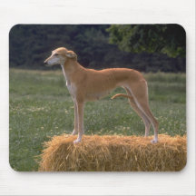 Darling Dog and Puppy Photos Cards, Postage, Gifts Mouse Pad
