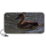 Darling Duck Doodle Speaker