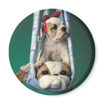 Darling Little Bulldog Puppy Fridge Magnet