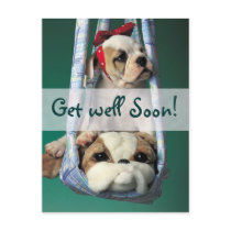 Darling Little Bulldog Puppy Postcards