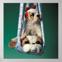 Darling Little Bulldog Puppy Poster Print