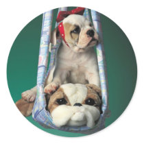 Darling Little Bulldog Puppy Round Stickers