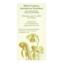 Darlingtonia Carnivorous Plant Photo Greeting Card
