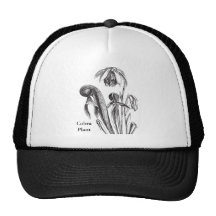 Darlingtonia d'usine de broc casquette de camionneur