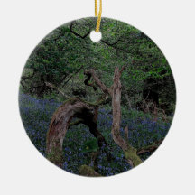 Dartmoor Drewsteignton Blue Bell Woods Ornament