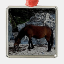 Dartmoor pony licking on beach in south Devon Ornament