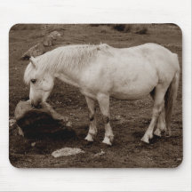 Dartmoor pony rubbing mouth on rock   ( sepia ) mousemat