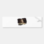 Darts iGuide Dust Bumper Stickers